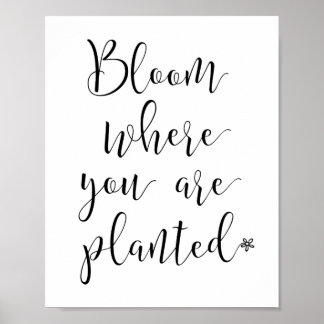 Fleur où vous avez planté Poster