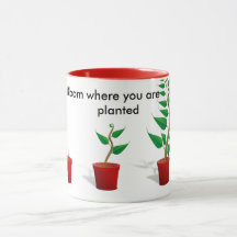 Fleur où vous êtes tasse plantée