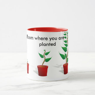 Fleur où vous êtes tasse plantée
