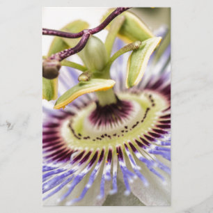 Fleur Passion