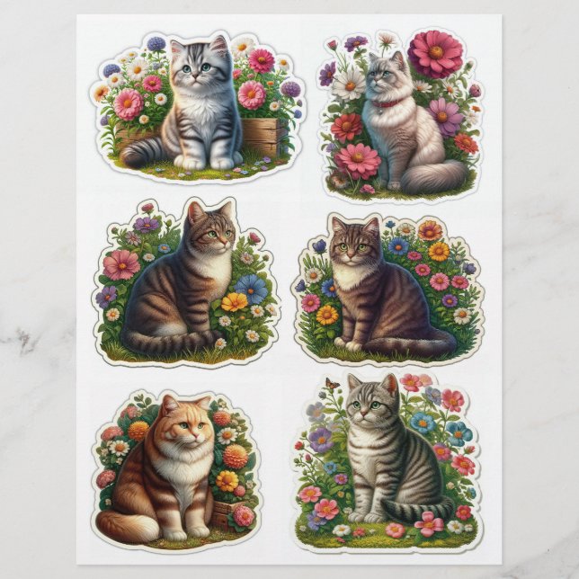 Fleur Patch Chat, Kitten Illustrations (Devant)