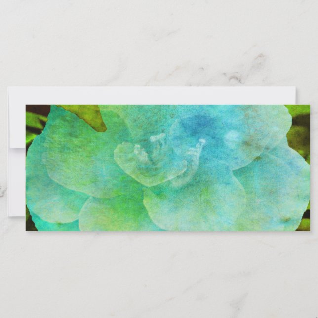 Fleur peinte par Shirley Taylor (Devant)