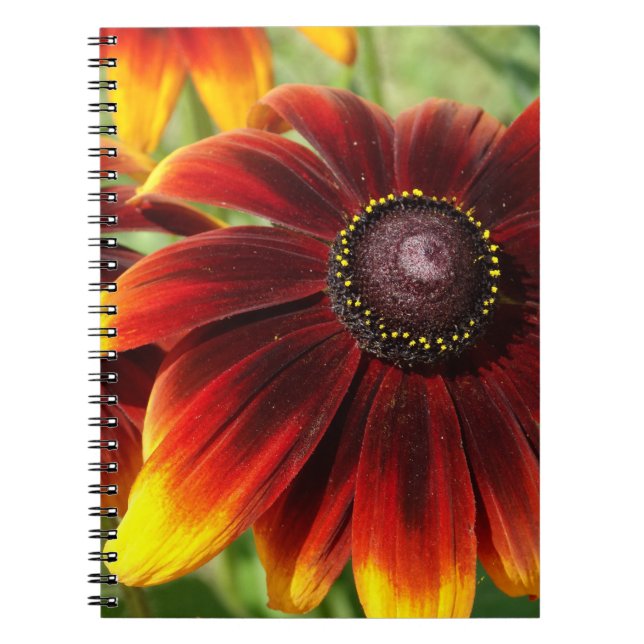 Fleur Photo Carnet Brown Jaune (Devant)