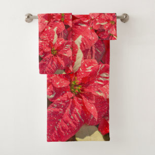 Fleur plante rouge Poinsettia