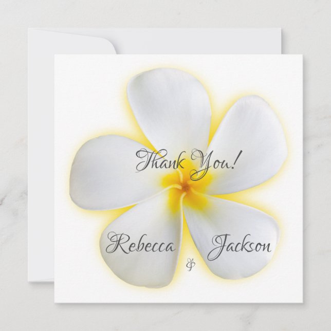 Fleur Plumeria blanche, Jaune, Mariage, Merci (Devant)