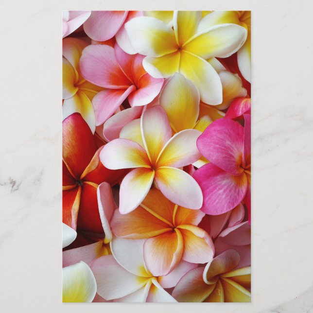 Fleur Plumeria mélangée rose jaune (Devant)