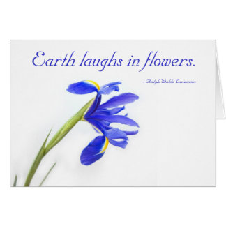 Fleur pourpre d'iris - la terre rit en fleurs