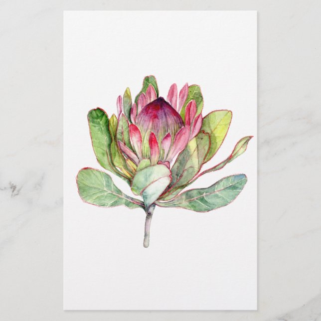 Fleur Protea (Devant)