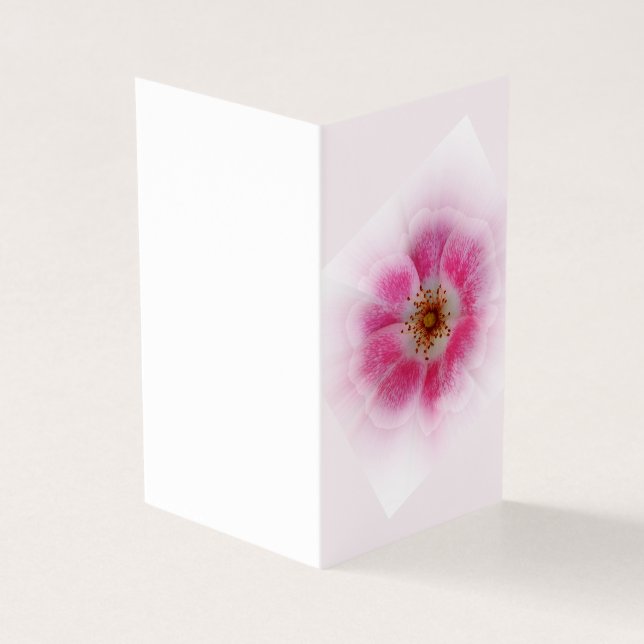 fleur rose (Outside)