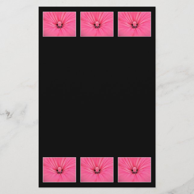 Fleur rose. (Devant)