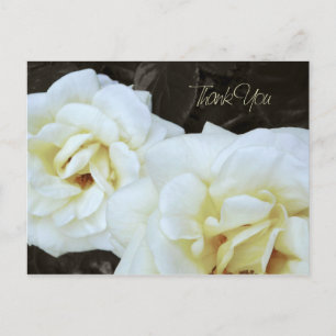 Fleur rose blanche Cartes postales Merci