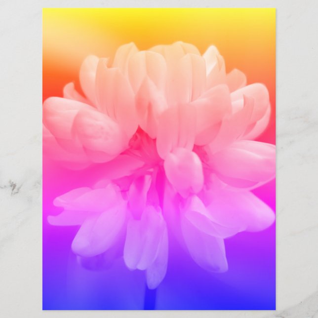 Fleur Rose Et Blanc Gros (Devant)