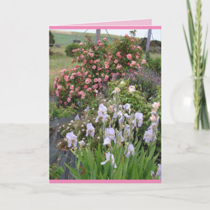 Fleur rose Jardin fleurs florales Irises Carte