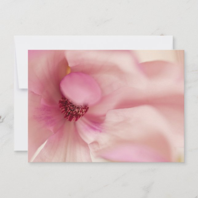 Fleur rose Magnolia - Modèle Magnolias (Devant)