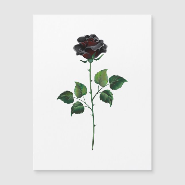 Fleur rose noire (Devant)