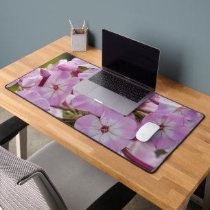 Fleur rose Phlox, Photographie canadienne