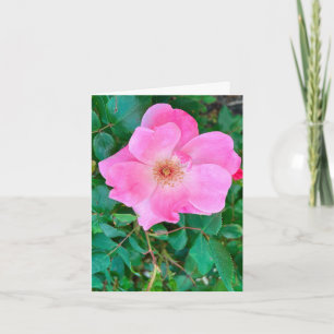 Fleur rose rose fleurie Carte de voeux anniversair