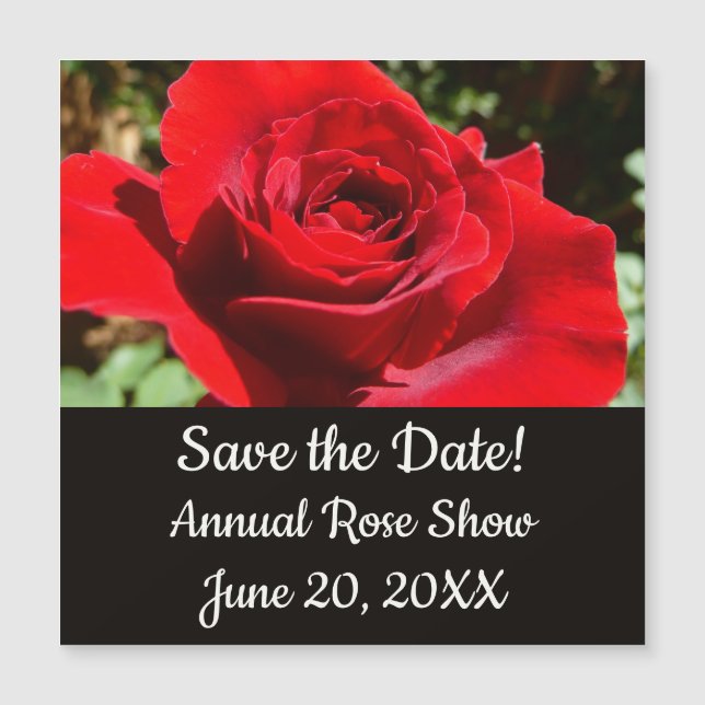 Fleur rose rouge vif Belle florale (Devant)