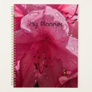 Fleur rose vif avec texte