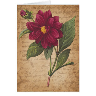 Fleur rouge et lettre