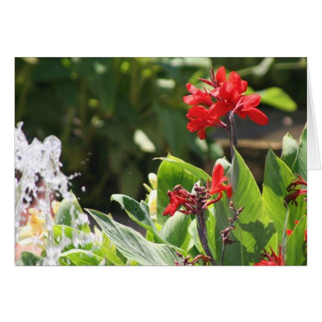 Fleur rouge grande (Devant horizontal)