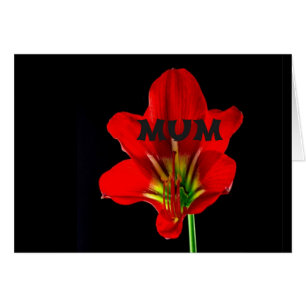 Fleur rouge maman