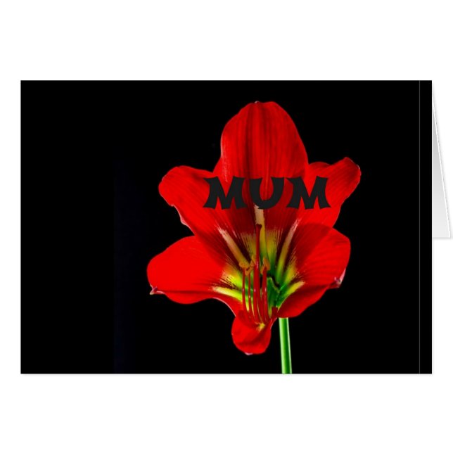 Fleur rouge maman (Devant horizontal)