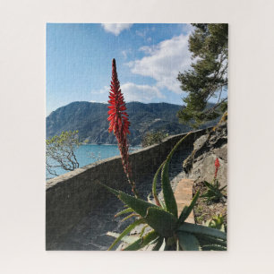 Fleur Rouge Mer Bleue Falaises Rocheuses Puzzle