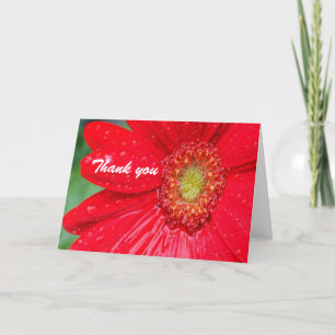 Fleur rouge Merci