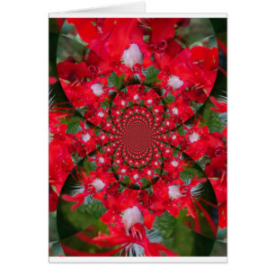 Fleur Rouge Naturelle Blanc Plumes Kaleidoscope Ar