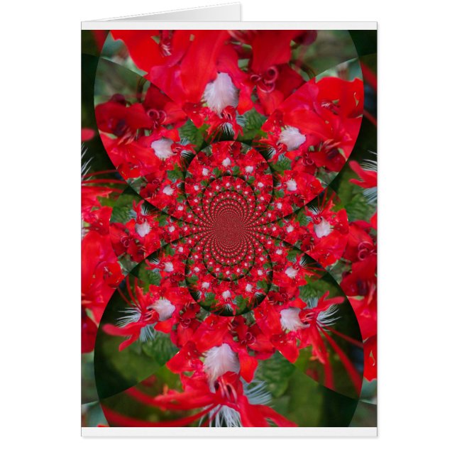 Fleur Rouge Naturelle Blanc Plumes Kaleidoscope Ar (Devant)