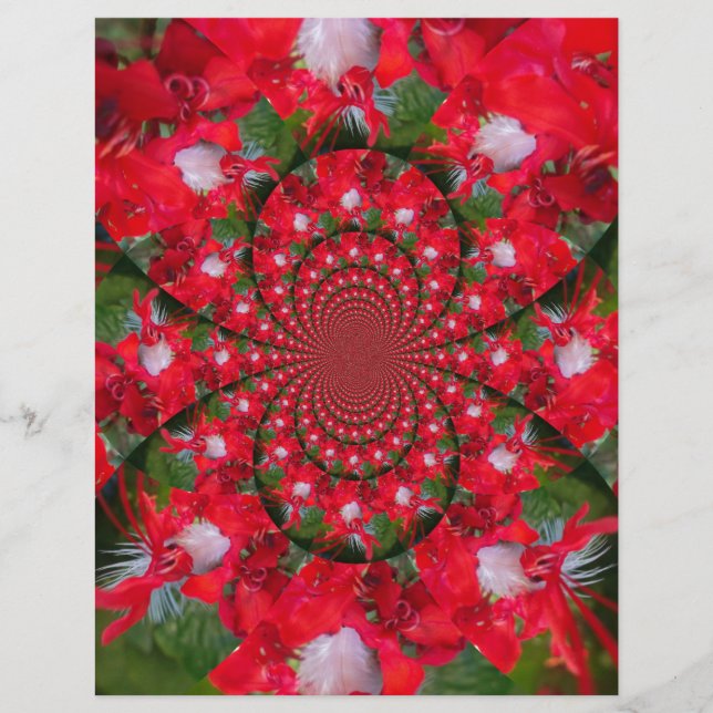 Fleur Rouge Naturelle Blanc Plumes Kaleidoscope Ar (Devant)