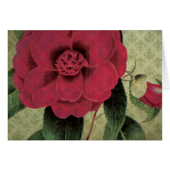 Fleur rouge vintage (Devant horizontal)