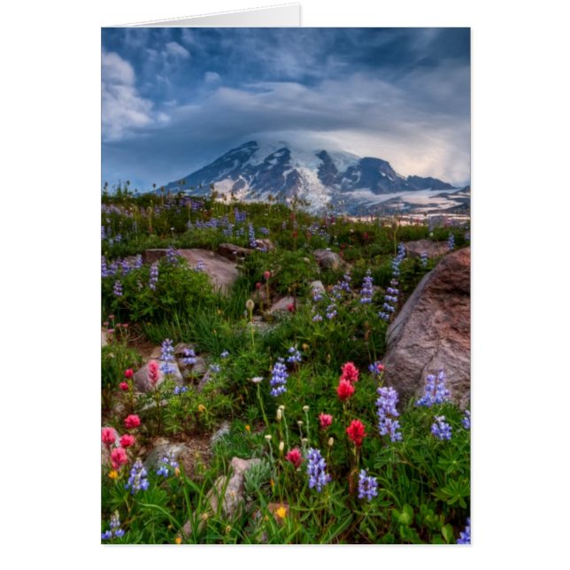 Fleur sauvage (Devant)