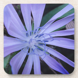 fleur sauvage bleu dessous de verre