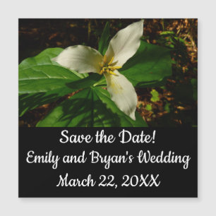 Fleur sauvage de printemps blanc Trillium Flower