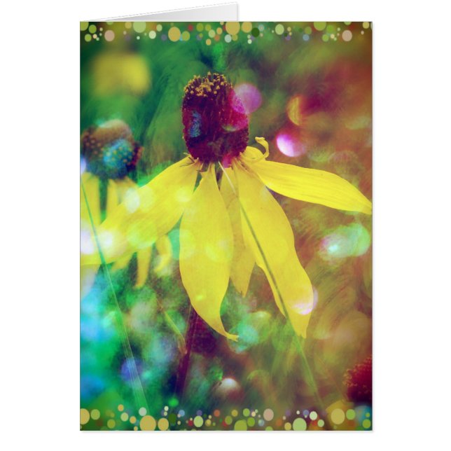 Fleur sauvage d'été (Devant)