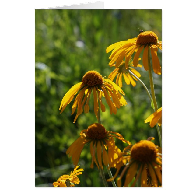 Fleur sauvage d'or (Devant)