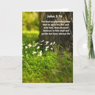 Fleur sauvage Jean 3:16 Bible Verse Carte de voeux