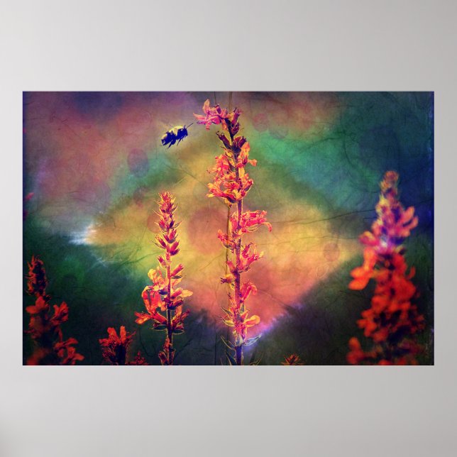 Fleur sauvage N Bee Automne Diamond Poster (Devant)