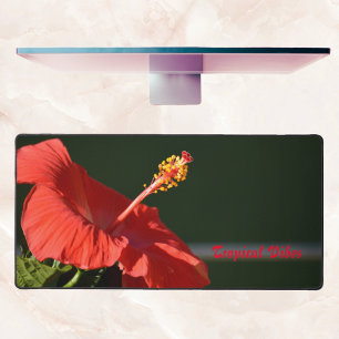 Fleur Tropical Rouge Hibiscus Dramatique