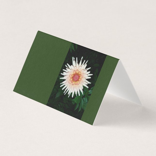 fleur une nuit cool (Front)