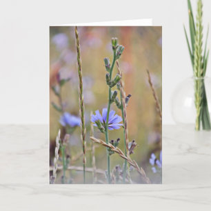 Fleur violet unique ~ Carte de voeux