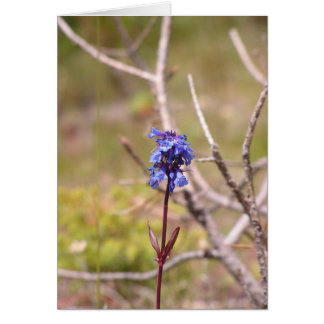 fleur violette