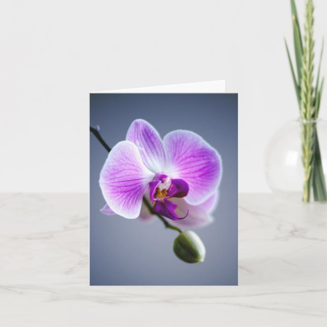 Fleur violette, ORCHID et bourgeon sur la carte de (Devant)