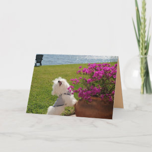Fleurissez où vous êtes image plantée de carte de