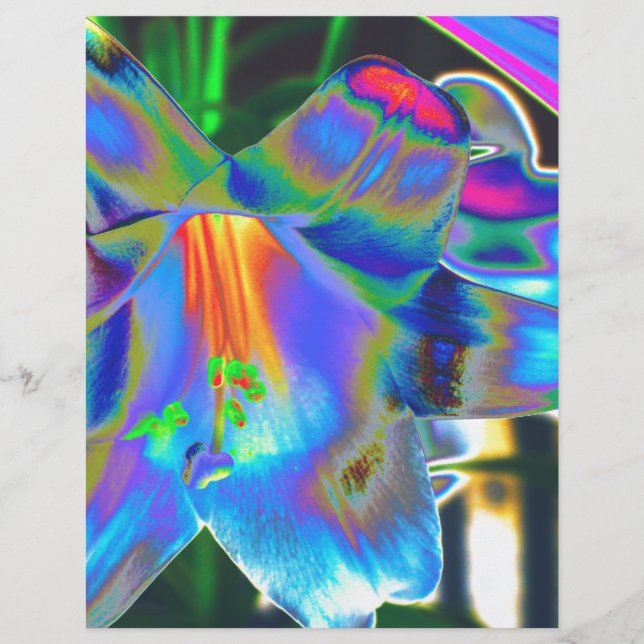 Fleurs (Devant)