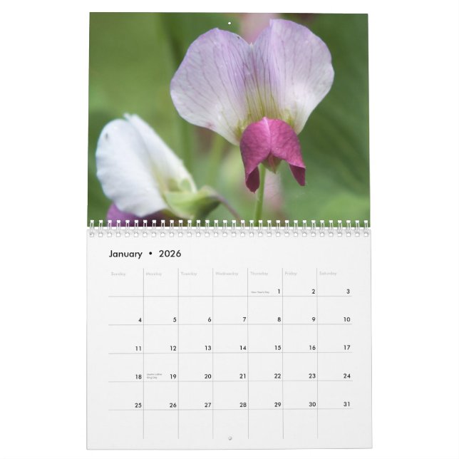 FLEURS 2013 CALENDRIER (16 MOIS) (Jan 2026)