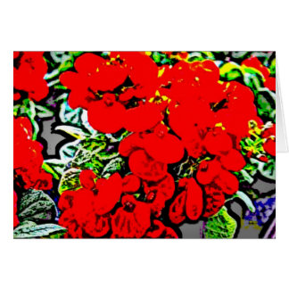 Fleurs 6