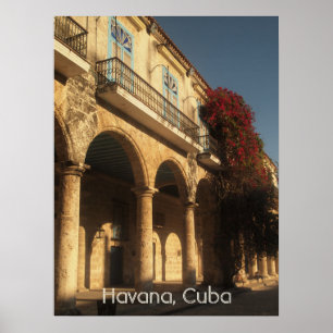 Fleurs à Plaza de la Catedral, Poster de La Havane